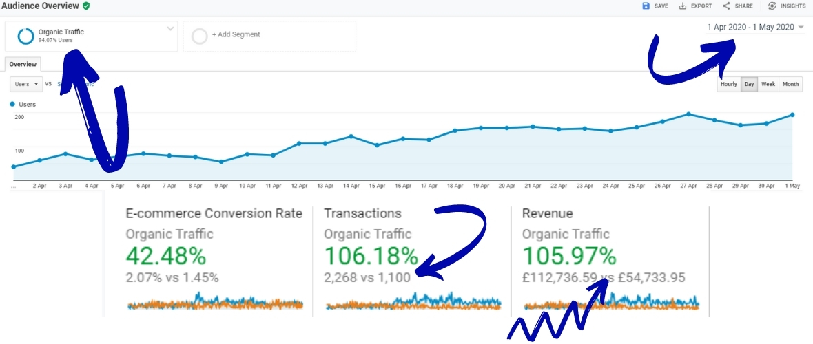 SEO Expert Results