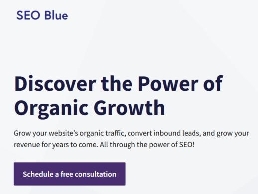 https://seoblue.co/ website