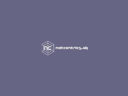 https://netcentrics.co.uk/seo-cardiff-newport-bristol/ website