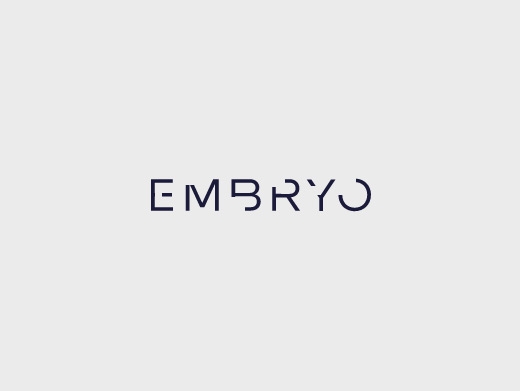 https://embryo.com/seo/ website