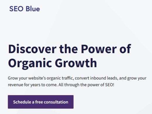 https://seoblue.co/ website